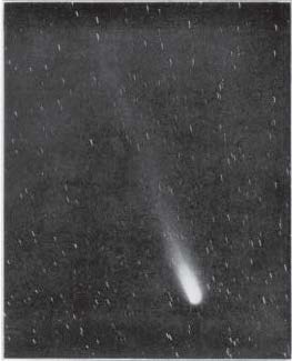 Halley's Comet