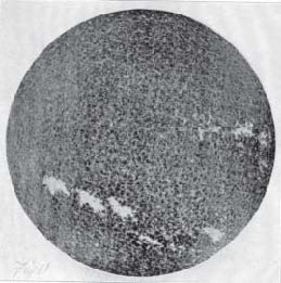 The Sun, Photographed with the Spectroheliograph, 1913