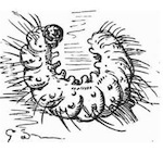 illustration by Gustave Doré